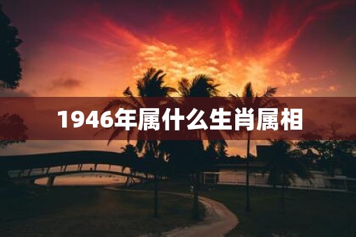 1946年属什么生肖属相