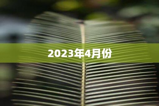 2023年4月份