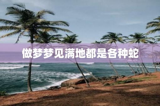 做梦梦见满地都是各种蛇