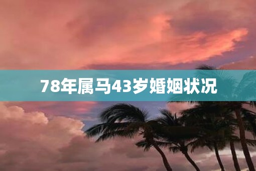 78年属马43岁婚姻状况