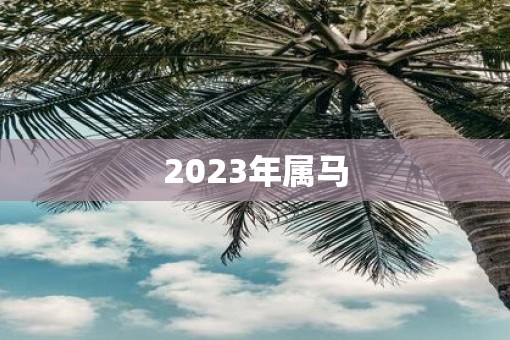 2023年属马