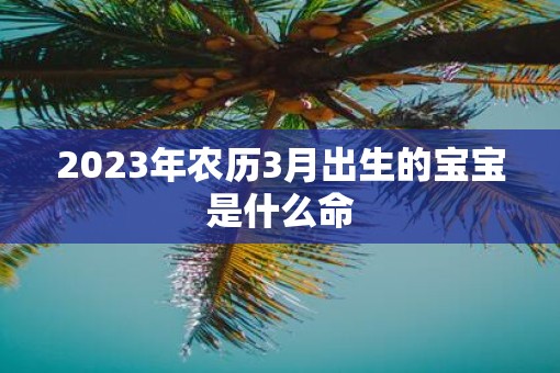 2023年农历3月出生的宝宝是什么命