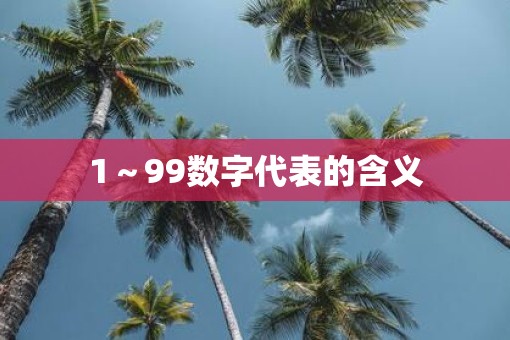 1～99数字代表的含义