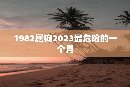 1982属狗2023最危险的一个月