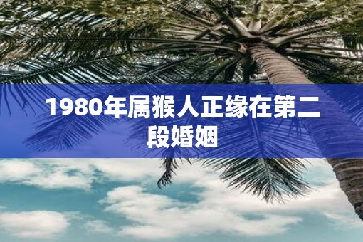 1980年属猴人正缘在第二段婚姻