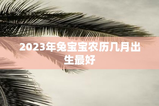 2023年兔宝宝农历几月出生最好