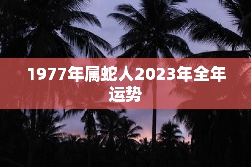 1977年属蛇人2023年全年运势