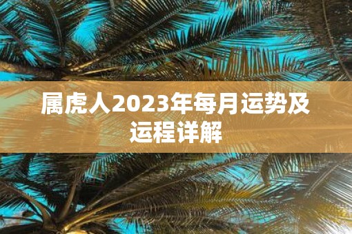 属虎人2023年每月运势及运程详解