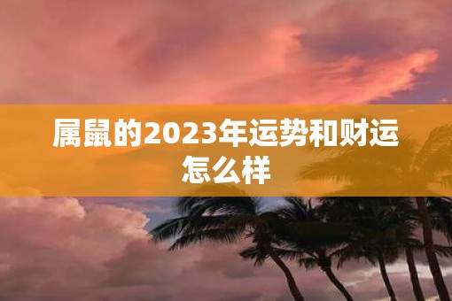 属鼠的2023年运势和财运怎么样