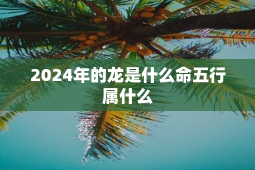 2024年的龙是什么命五行属什么