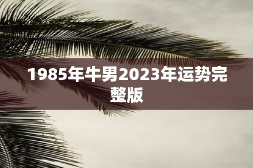 1985年牛男2023年运势完整版