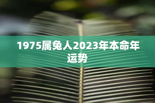 1975属兔人2023年本命年运势