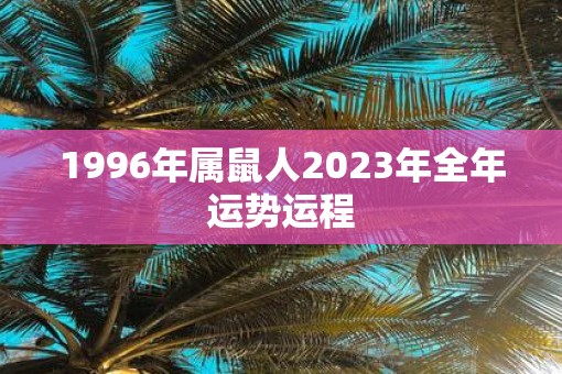 1996年属鼠人2023年全年运势运程