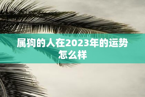 属狗的人在2023年的运势怎么样