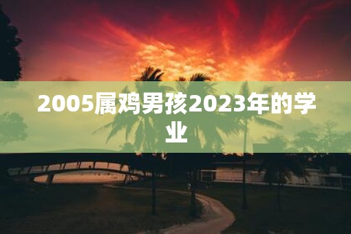 2005属鸡男孩2023年的学业