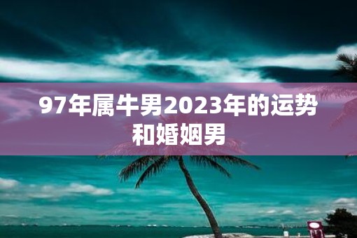 97年属牛男2023年的运势和婚姻男