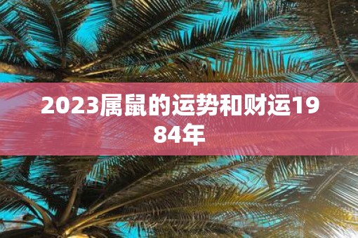 2023属鼠的运势和财运1984年