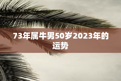 73年属牛男50岁2023年的运势