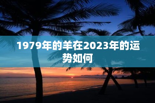 1979年的羊在2023年的运势如何