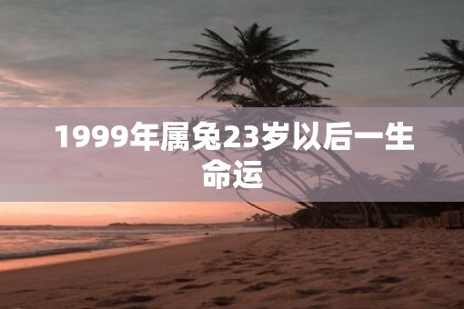 1999年属兔23岁以后一生命运