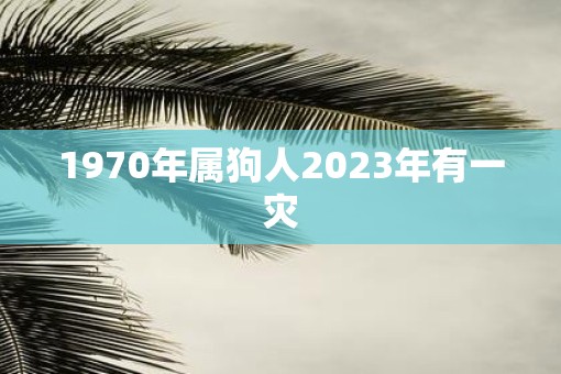 1970年属狗人2023年有一灾