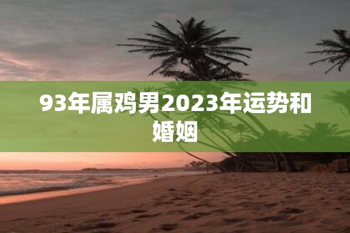 93年属鸡男2023年运势和婚姻