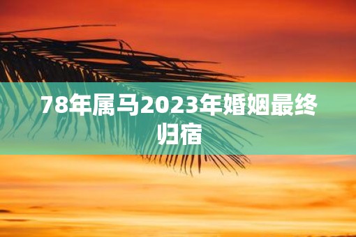 78年属马2023年婚姻最终归宿