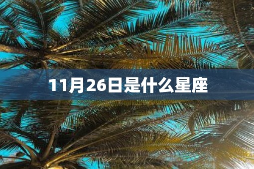 11月26日是什么星座