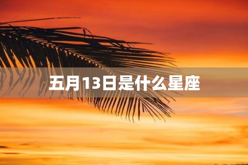 五月13日是什么星座