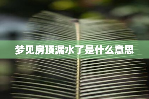 梦见房顶漏水了是什么意思