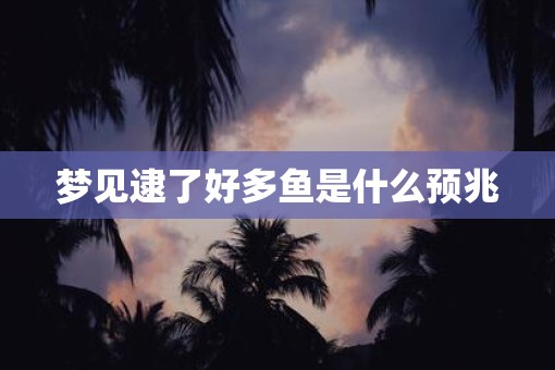 梦见逮了好多鱼是什么预兆