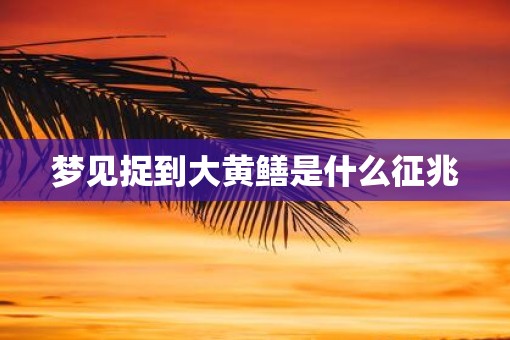 梦见捉到大黄鳝是什么征兆