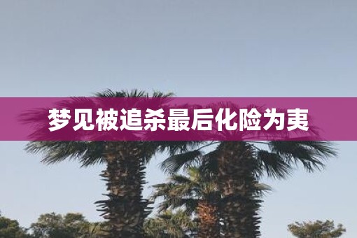 梦见被追杀最后化险为夷