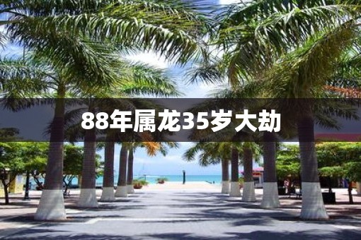 88年属龙35岁大劫