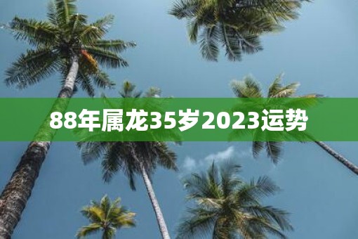 88年属龙35岁2023运势