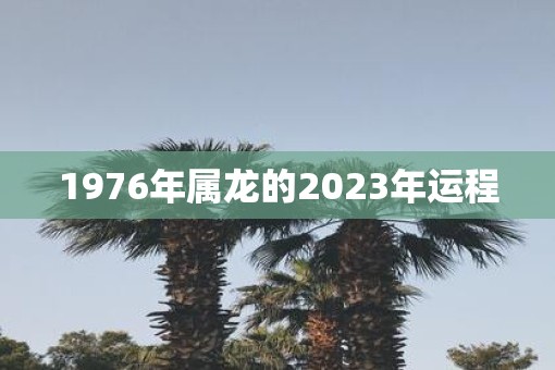 1976年属龙的2023年运程