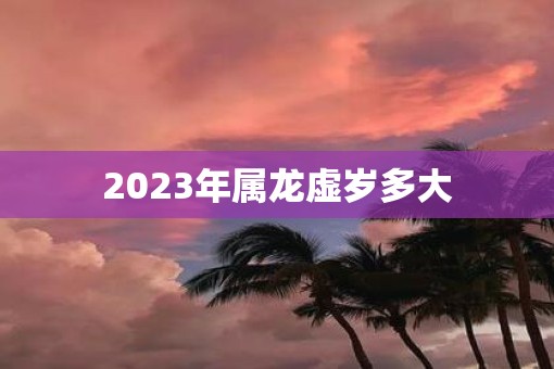 2023年属龙虚岁多大