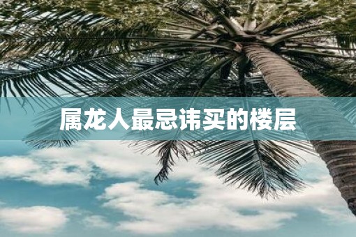 属龙人最忌讳买的楼层