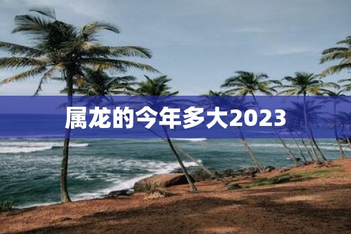 属龙的今年多大2023