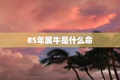 85年属牛是什么命