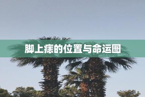 脚上痣的位置与命运图