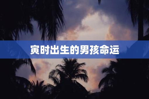 寅时出生的男孩命运