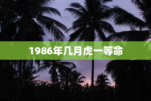 1986年几月虎一等命