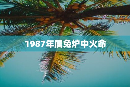 1987年属兔炉中火命