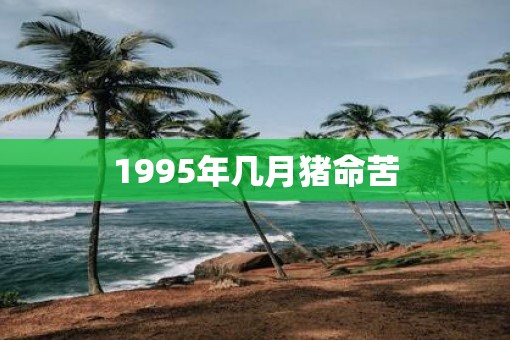 1995年几月猪命苦