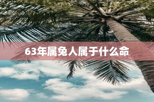 63年属兔人属于什么命