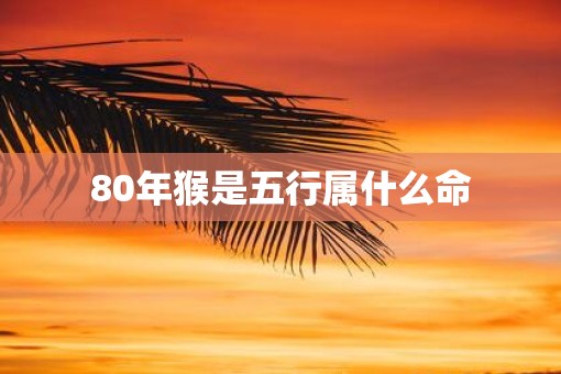 80年猴是五行属什么命