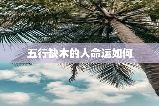 五行缺木的人命运如何