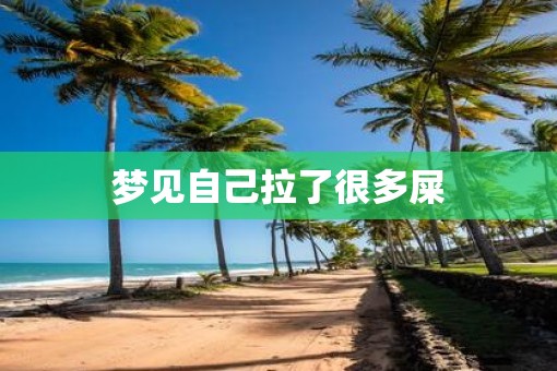 梦见自己拉了很多屎