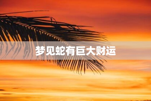 梦见蛇有巨大财运